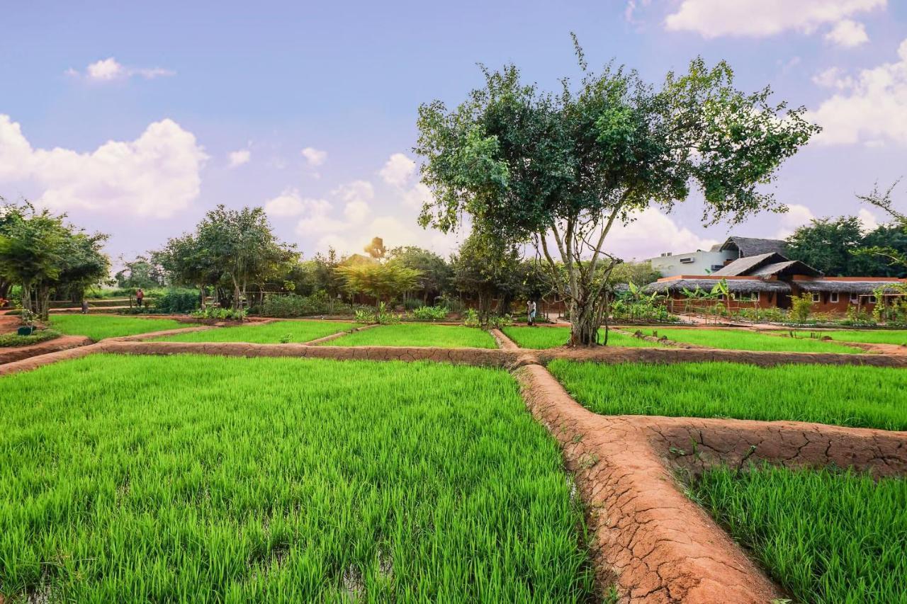 Ayurvie Sigiriya - Ayurvedic Retreat By Thema Collection Hotel Exterior foto